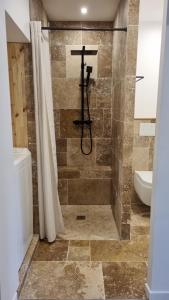 a bathroom with a shower with a toilet and a sink at Appartement centre historique d'Auch in Auch