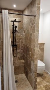 a bathroom with a shower and a toilet at Appartement centre historique d'Auch in Auch
