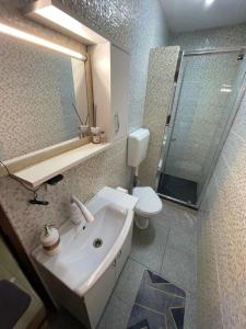 ein Badezimmer mit einem Waschbecken, einem WC und einem Spiegel in der Unterkunft Casa Decebal in Călimăneşti