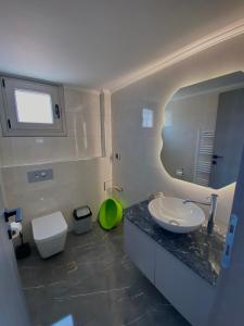 a bathroom with a sink and a toilet and a mirror at Acqua Blu Blu apartment in Koroni