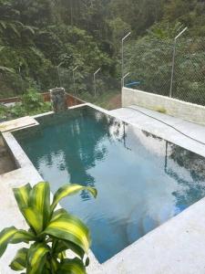 a swimming pool with blue water and a plant at Cabaña Mi Chelita in Ibagué