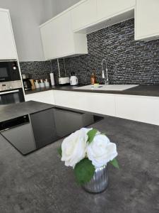 Kuchyň nebo kuchyňský kout v ubytování Belle Luxury Apartments