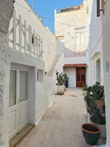 un callejón con edificios blancos y macetas en Leccino Suite, en Matino