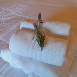 two white towels with a plant on top of it at Anicca Posada in San Marcos Sierras