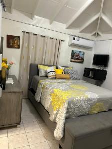 a bedroom with a large bed and a television at Beautiful Vacation Home in Ocho Rios