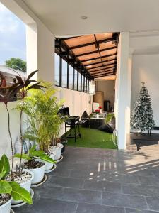 a patio with potted plants and a christmas tree at Love House in Ban Zong Katiam