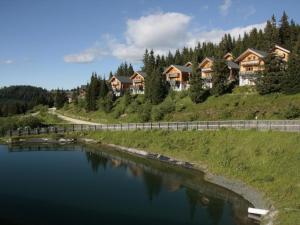 un grupo de casas en una colina junto a un río en Chalet Bergoase en Elsenbrunn