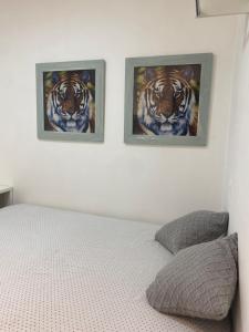 a bedroom with two paintings of tigers on the wall at Suítes flat mobiliados com área de lazer picina in Araguaína