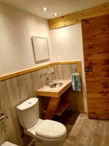 y baño con aseo y lavamanos. en Cabaña Entre Lagos y Montañas en San Carlos de Bariloche