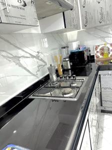 Kuchyň nebo kuchyňský kout v ubytování apartment berriko