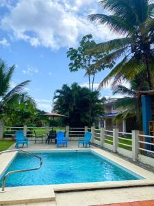 basen z niebieskimi krzesłami i palmami w obiekcie Oasis de Tranquilidad w mieście Colón