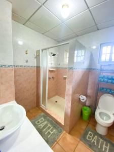 W łazience znajduje się prysznic, umywalka i toaleta. w obiekcie Oasis de Tranquilidad w mieście Colón