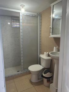 uma casa de banho com um chuveiro, um WC e um lavatório. em VLR habitaciones em La Ceiba