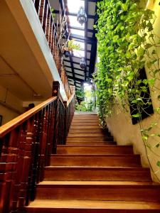 Eine Treppe mit einem Haufen grüner Pflanzen in der Unterkunft Palm Mansion Boutique Suites in George Town