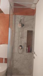 un bagno con doccia accanto a servizi igienici di Mansarda Rossi a Livorno