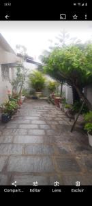 ein Bild von einem Innenhof mit Pflanzen und Otika in der Unterkunft casa para hospedagem são João próxima do centro in Campina Grande