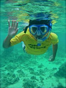 a person wearing a snorkel and a mask in the water at Sigasiga Sands Boutique Bungalows in Savusavu