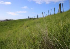 Galería fotográfica de Rewarewa PurePod en Helensville