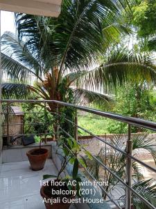 狄哈的住宿－Anjali Guest House，阳台上的棕榈树位于房子里
