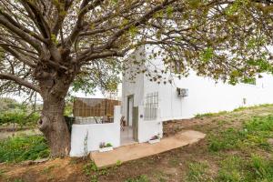A garden outside traditional suburbs maisonette