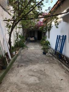 eine Gasse mit einem Baum und einem weißen Gebäude in der Unterkunft Hostal Los Abuelos Colombianos in Cartagena de Indias