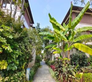 un chemin traversant un jardin à côté d'une maison dans l'établissement Annie Dianchi Lake Villas, à Kunming