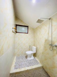 a bathroom with a toilet and a shower at COCONUT BEACH BUNGALOWs & WARUNG in Amed