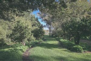 Paringa Riverside Resort外面的花园