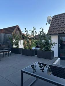 戈斯拉爾的住宿－Ferienhaus Anni & Fritz，一个带桌子和盆栽植物的庭院