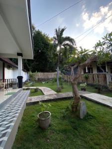 a small tree in a yard next to a house at COCONUT BEACH BUNGALOWs & WARUNG in Amed