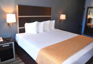 a large bed in a hotel room with two lamps at SF Central Hotel in San Francisco