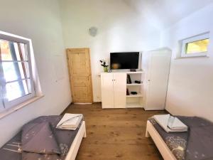 Zimmer mit einem Bett und einem TV in einem Zimmer in der Unterkunft Villa Agardy 1 in Balatonkenese