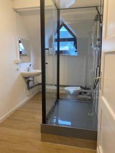La salle de bains est pourvue d'une douche en verre et d'un lavabo. dans l'établissement Charmante Wohnungen direkt in der Stadtmitte, à Andernach