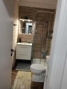 a bathroom with a toilet and a shower and a sink at Garsoniera Saturn in Saturn