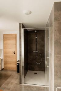 オルブールにあるGîte Relais Duplex à 5 minutes du Centre de Colmarのバスルーム(ガラス張りのシャワー付)