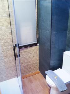 ein Bad mit einer Dusche, einem WC und einer Glastür in der Unterkunft LM apartments Puentezuelas in Granada
