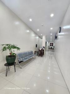 a waiting room with chairs and a potted plant at VLCC Building in Manila