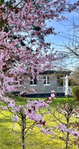 Κήπος έξω από το Ferienhaus Meine Insel