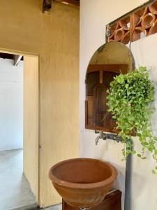 ein Badezimmer mit einem hölzernen Waschbecken und einer Topfpflanze in der Unterkunft Ecohost Đông Hòa in Phú Hiệp