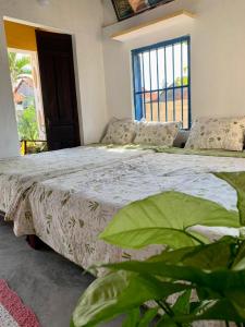 1 dormitorio con cama y ventana grande en Ecohost Đông Hòa, en Phú Hiệp