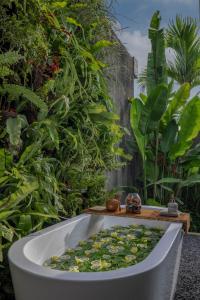 Zahrada ubytování Gdas Bali Health and Wellness Resort - Adult Only