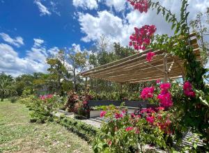 une pergola en bois dans un jardin avec des fleurs roses dans l'établissement Beautiful 2BD Farmhouse for 6pax, à Ormoc