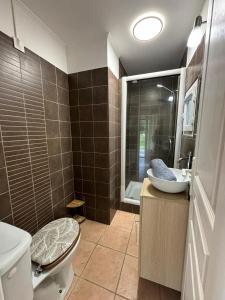 La salle de bains est pourvue de toilettes, d'un lavabo et d'un miroir. dans l'établissement Charmante maisonnette situé au calme proche d'Ajaccio., à Afa