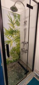 een douche in een badkamer met een schilderij aan de muur bij Appart n°22, VUE MER, Plage in Perros-Guirec +13 foto's