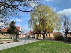 a weeping willow tree in the middle of a street at Landhotel Ruhepol - garni in Arnstadt