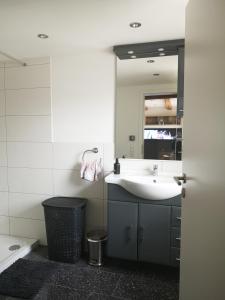 Koupelna v ubytování Apartment in Lindenberg, Goßholz