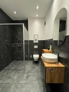 een badkamer met een douche, een wastafel en een toilet bij Loft Neunkirchen in Neunkirchen am Brand