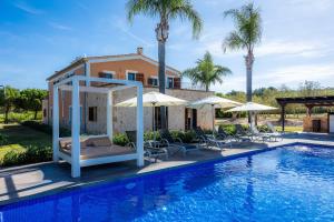 Πισίνα στο ή κοντά στο Finca Conies Salvia