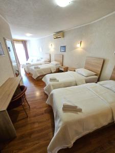 Llit o llits en una habitació de Hotel Prvan