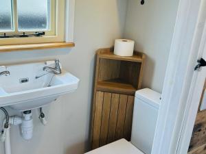 a bathroom with a sink and a toilet at Shepherds Hut at Maes Uldale in Uldale